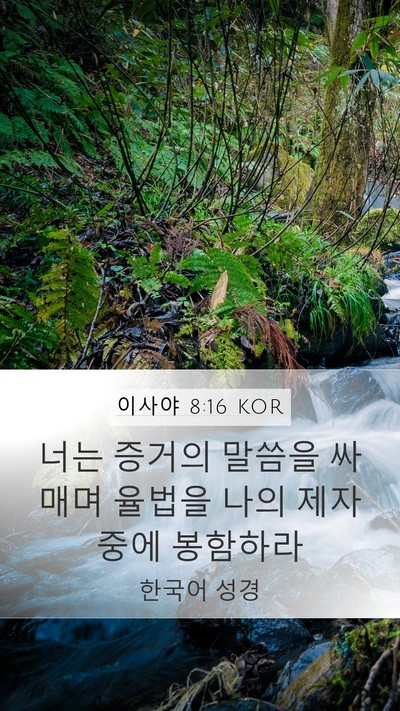 이사야 8:16 KOR Mobile Phone Wallpaper - 너는 증거의 말씀을 싸매며 율법을 - Mobile Bible Verse Wallpaper