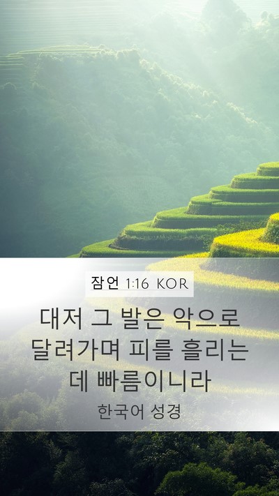 잠언 1:16 KOR Bible Verse Image