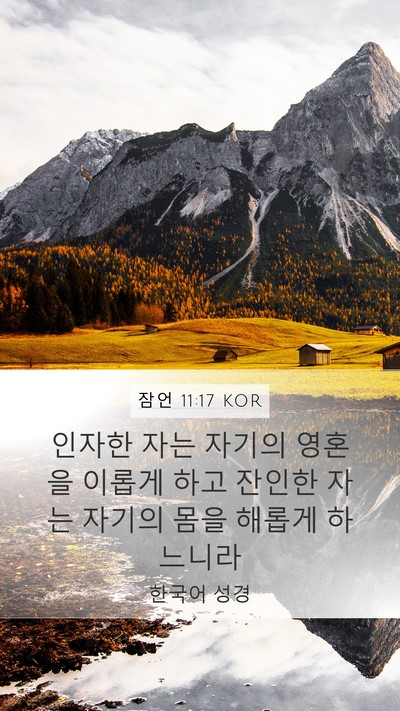 잠언 11:17 KOR Bible Verse Image