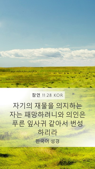 잠언 11:28 KOR Bible Verse Image