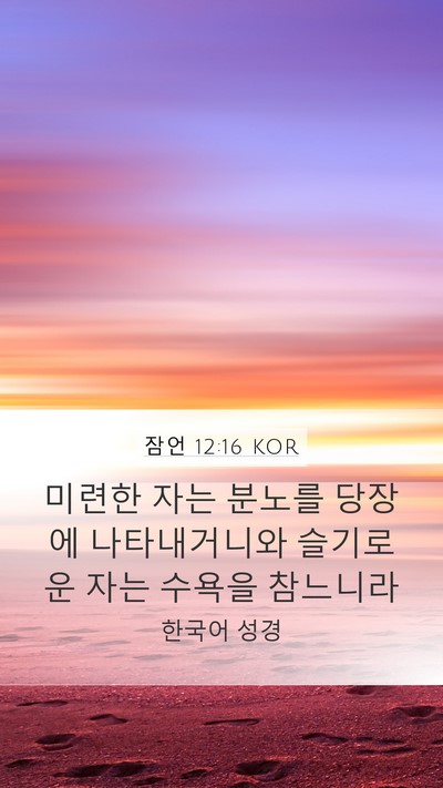 잠언 12:16 KOR Bible Verse Image