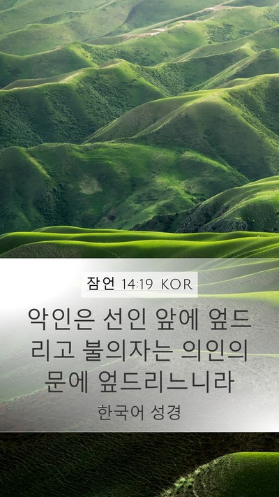 잠언 14:19 KOR Bible Verse Image