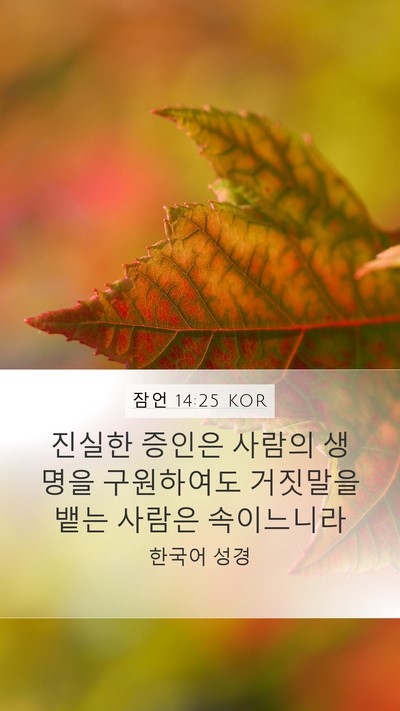 잠언 14:25 KOR Bible Verse Image