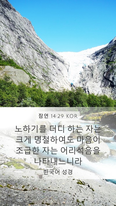 잠언 14:29 KOR Bible Verse Image