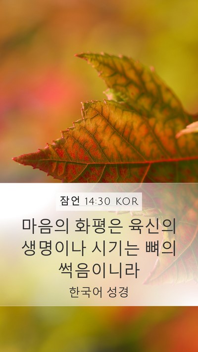 잠언 14:30 KOR Bible Verse Image