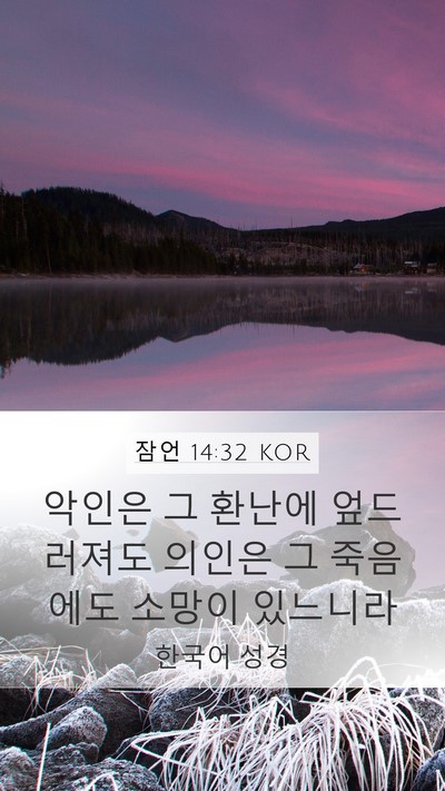 잠언 14:32 KOR Bible Verse Image