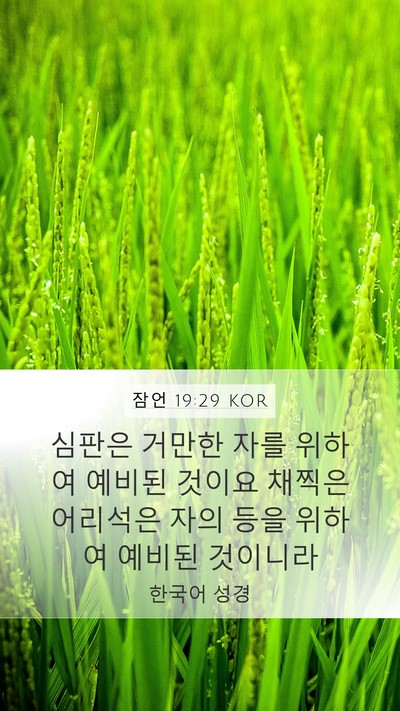 잠언 19:29 KOR Bible Verse Image