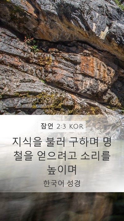 잠언 2:3 KOR Bible Verse Image