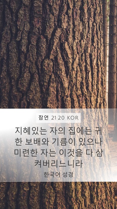 잠언 21:20 KOR Bible Verse Image