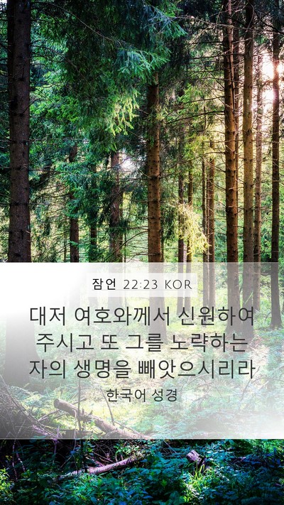 잠언 22:23 KOR Bible Verse Image