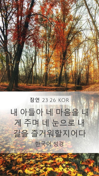 잠언 23:26 KOR Bible Verse Image