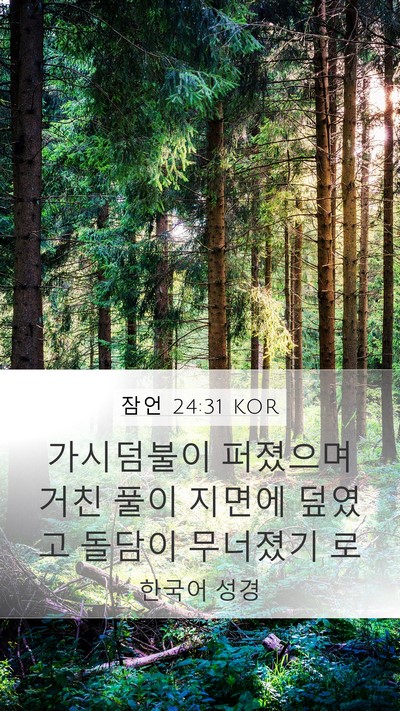 잠언 24:31 KOR Mobile Phone Wallpaper - 가시덤불이 퍼졌으며 거친 풀이 - Mobile Bible Verse Wallpaper