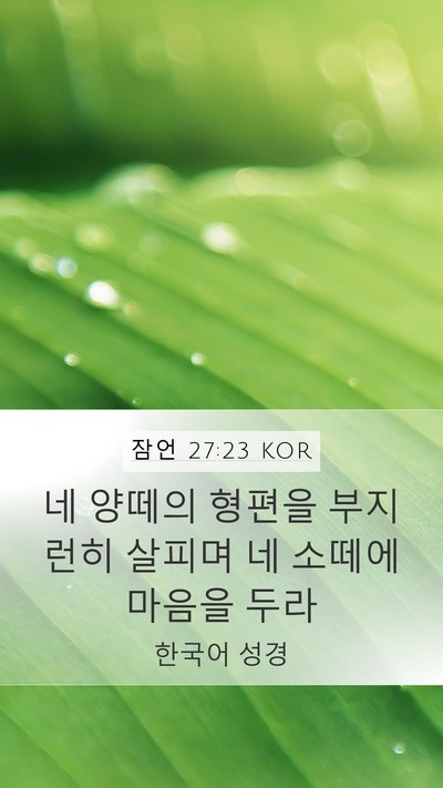 잠언 27:23 KOR Bible Verse Image