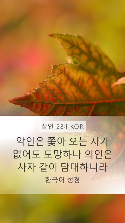 잠언 28:1 KOR Bible Verse Image