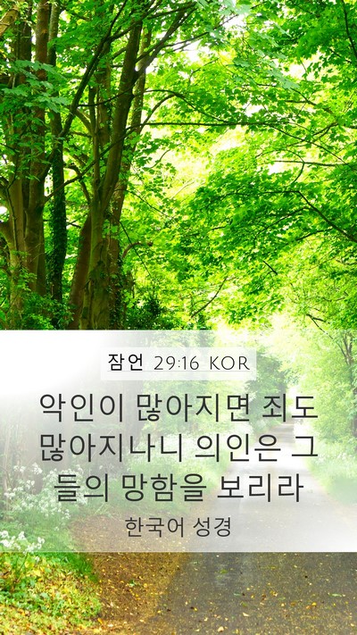 잠언 29:16 KOR Bible Verse Image