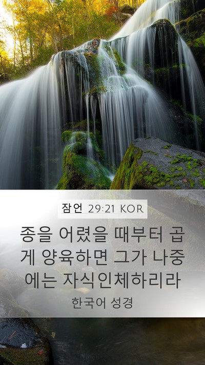 잠언 29:21 KOR Bible Verse Image