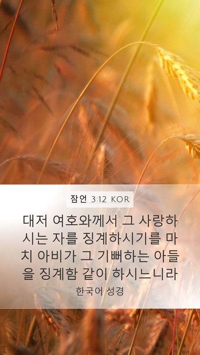 잠언 3:12 KOR Bible Verse Image