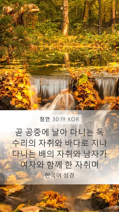 잠언 30:19 KOR Mobile Phone Wallpaper - 곧 공중에 날아 다니는 독수리의 - Mobile Bible Verse Wallpaper