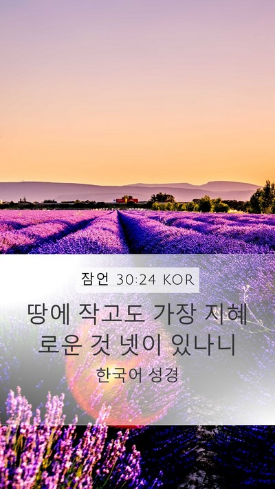 잠언 30:24 KOR Bible Verse Image