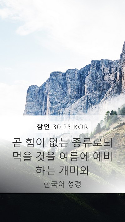 잠언 30:25 KOR Bible Verse Image
