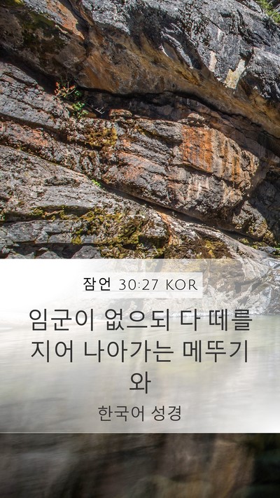 잠언 30:27 KOR Bible Verse Image