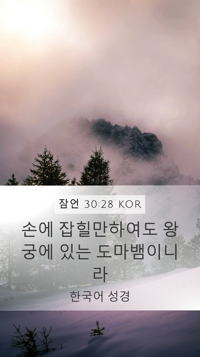 잠언 30:28 KOR Mobile Phone Wallpaper - 손에 잡힐만하여도 왕궁에 있는 - Mobile Bible Verse Wallpaper