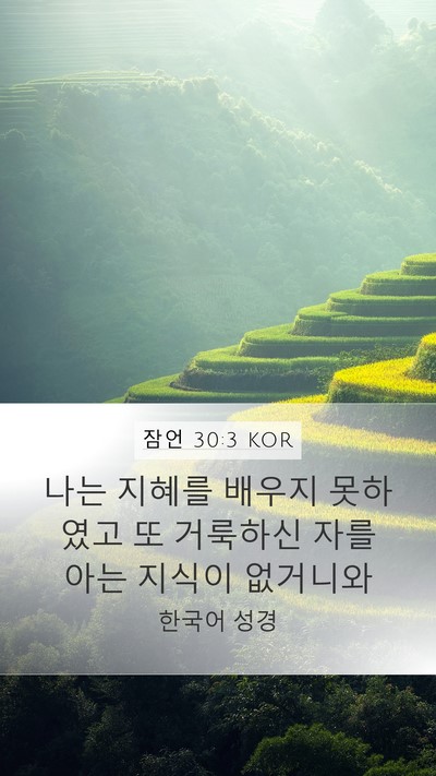 잠언 30:3 KOR Bible Verse Image