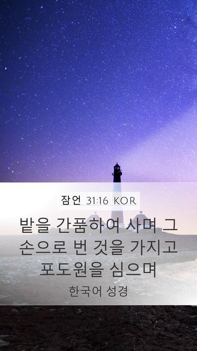 잠언 31:16 KOR Bible Verse Image