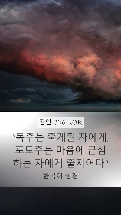 잠언 31:6 KOR Bible Verse Image