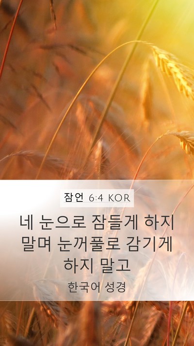잠언 6:4 KOR Bible Verse Image