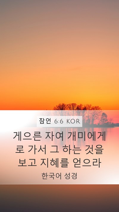 잠언 6:6 KOR Bible Verse Image