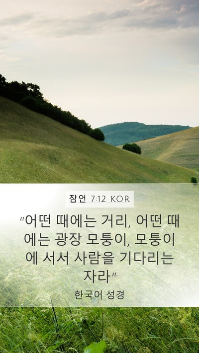 잠언 7:12 KOR Bible Verse Image