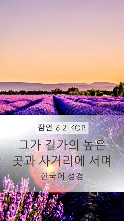 잠언 8:2 KOR Bible Verse Image
