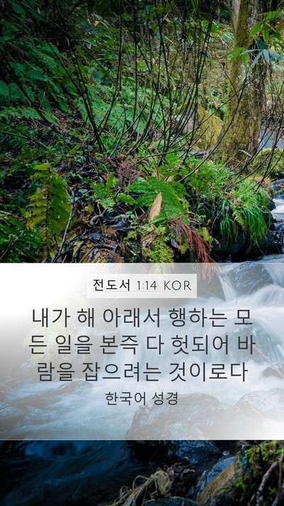 전도서 1:14 KOR Bible Verse Image