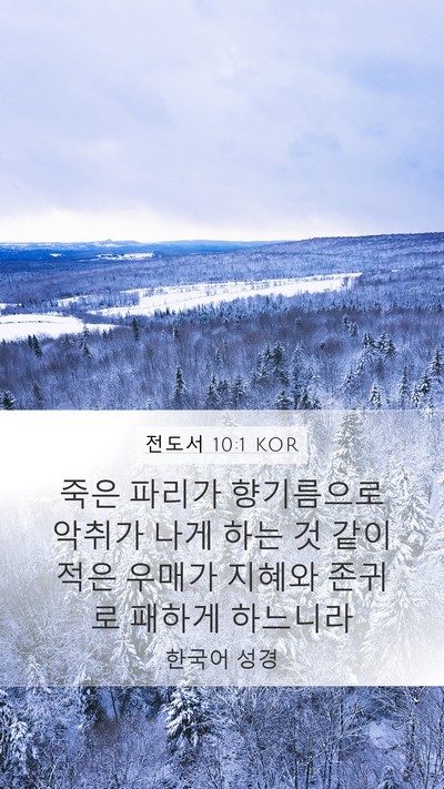 전도서 10:1 KOR Bible Verse Image