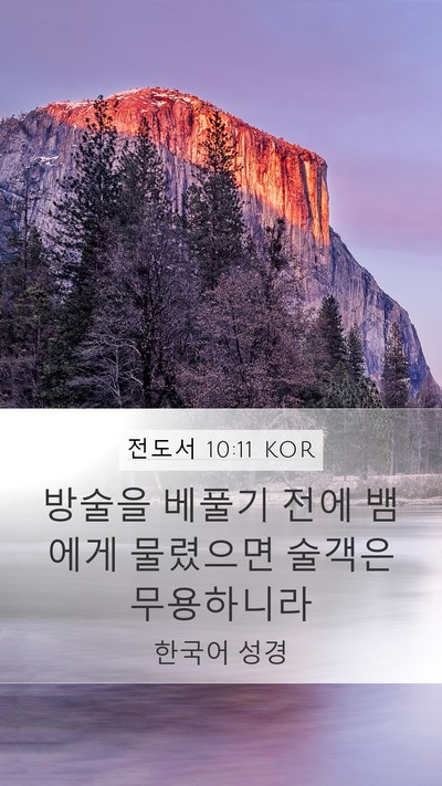 전도서 10:11 KOR Bible Verse Image