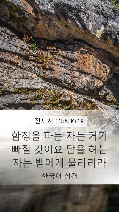 전도서 10:8 KOR Bible Verse Image