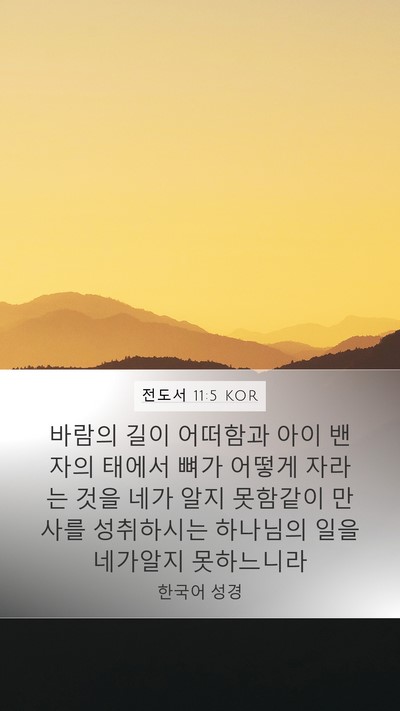 전도서 11:5 KOR Bible Verse Image