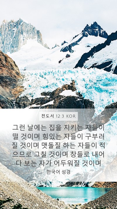 전도서 12:3 KOR Bible Verse Image