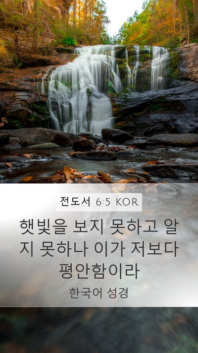 전도서 6:5 KOR Bible Verse Image