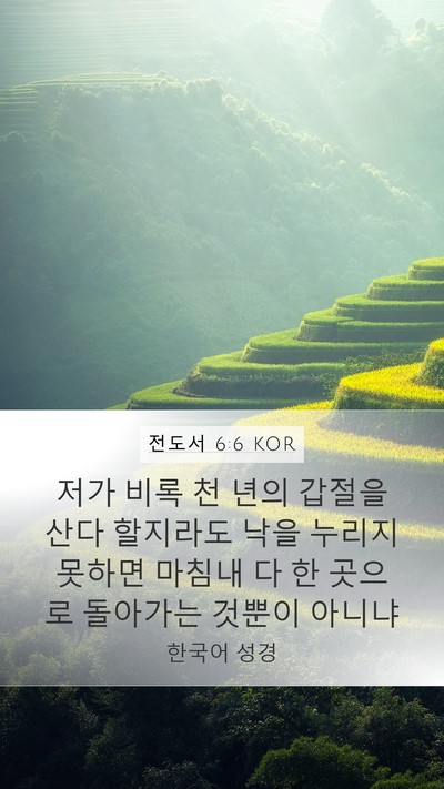 전도서 6:6 KOR Bible Verse Image