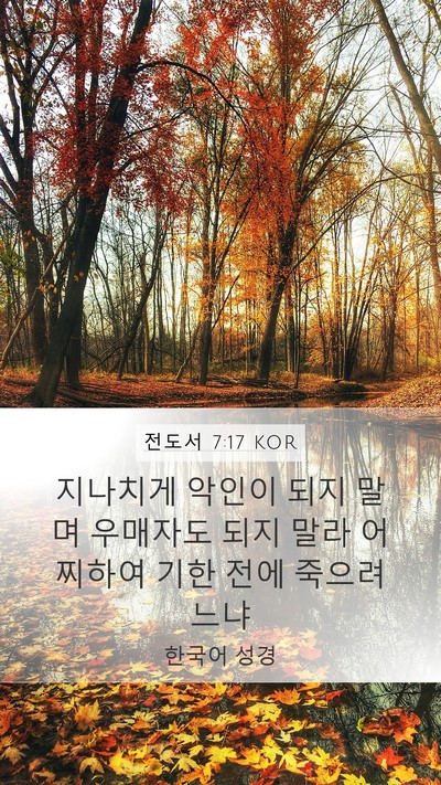 전도서 7:17 KOR Bible Verse Image