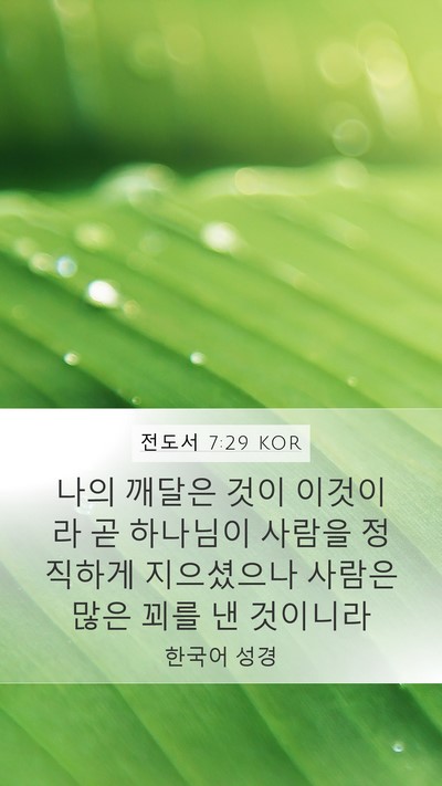 전도서 7:29 KOR Bible Verse Image