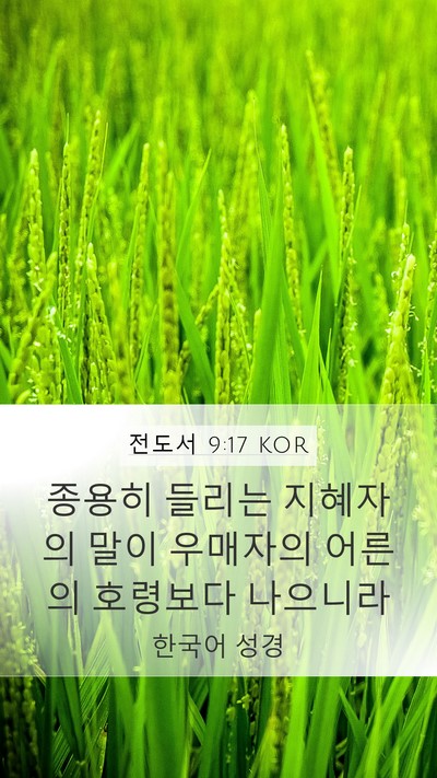 전도서 9:17 KOR Mobile Phone Wallpaper - 종용히 들리는 지혜자의 말이 - Mobile Bible Verse Wallpaper