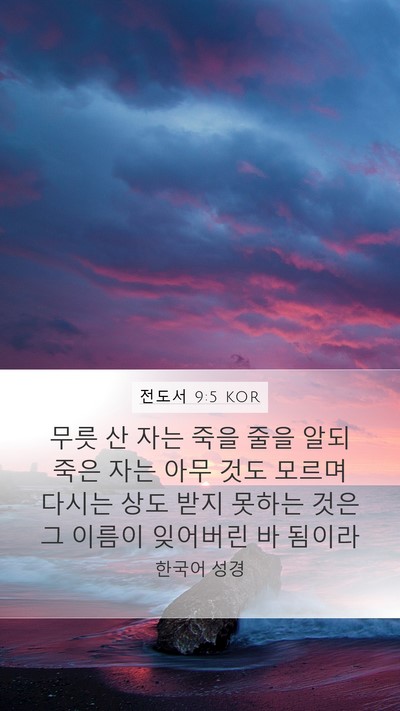 전도서 9:5 KOR Bible Verse Image