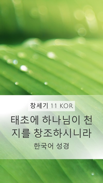 창세기 1:1 KOR Mobile Phone Wallpaper - 태초에 하나님이 천지를 - Mobile Bible Verse Wallpaper