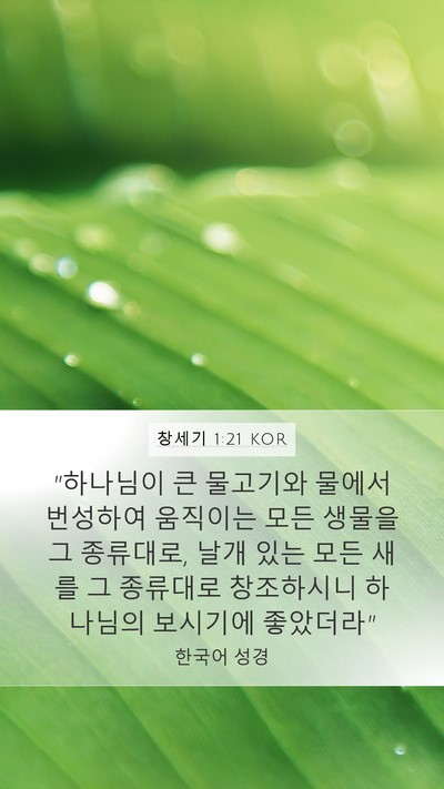 창세기 1:21 KOR Mobile Phone Wallpaper - 