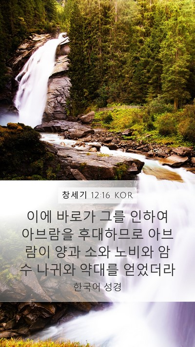 창세기 12:16 KOR Bible Verse Image