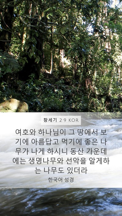 창세기 2:9 KOR Bible Verse Image