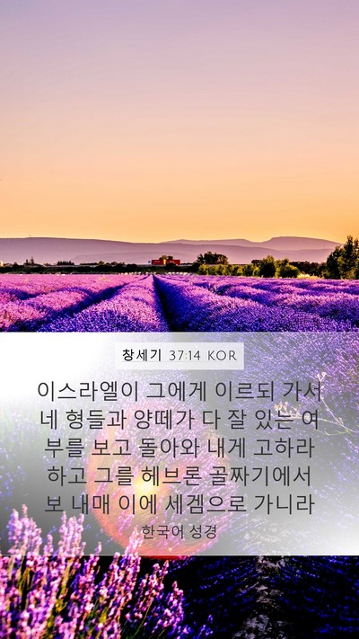 창세기 37:14 KOR Bible Verse Image